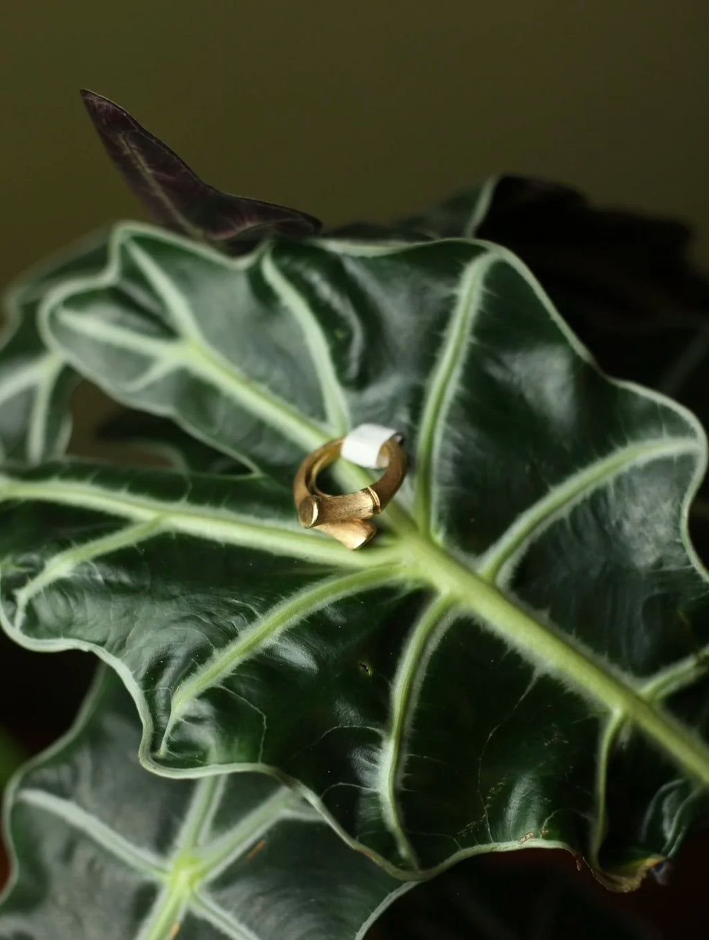 Trifari Bamboo Gold Tone Ring - Size 6.5
