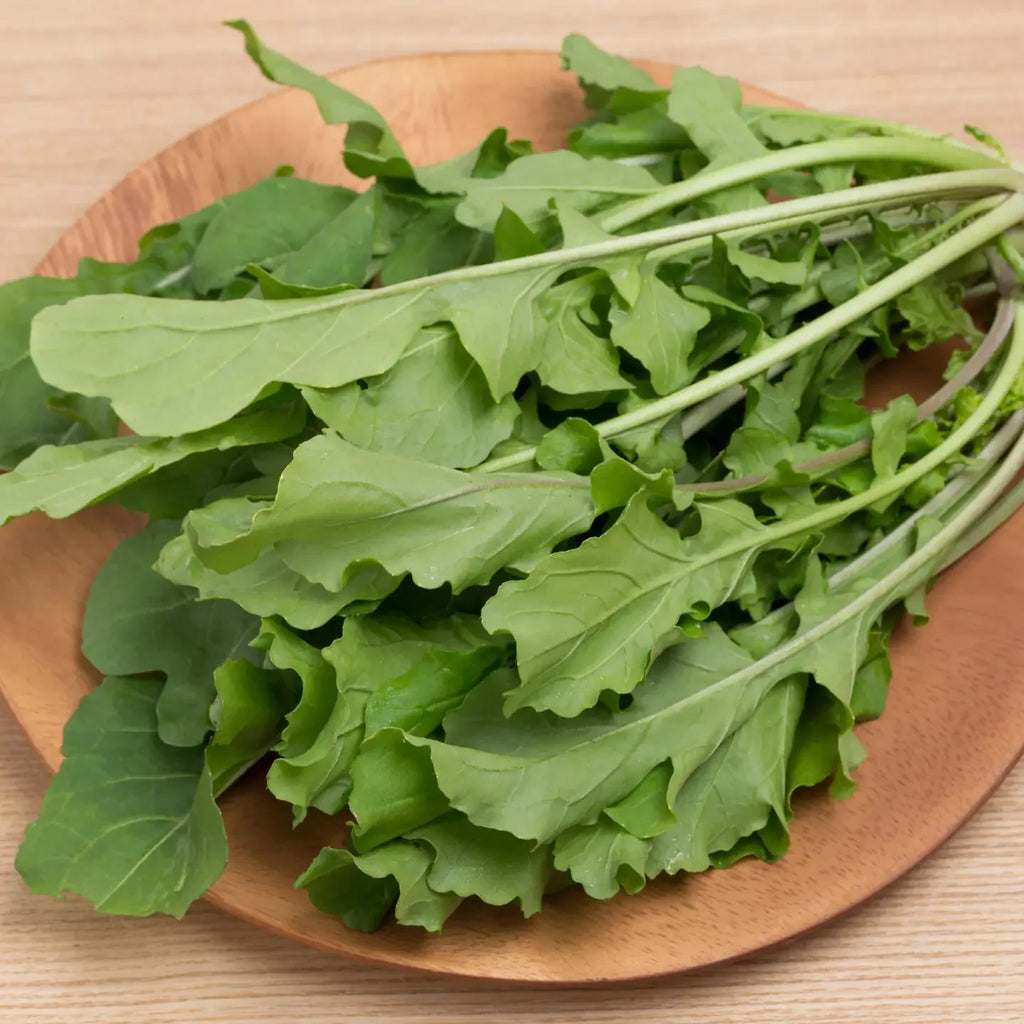 Arugula Garden Seeds