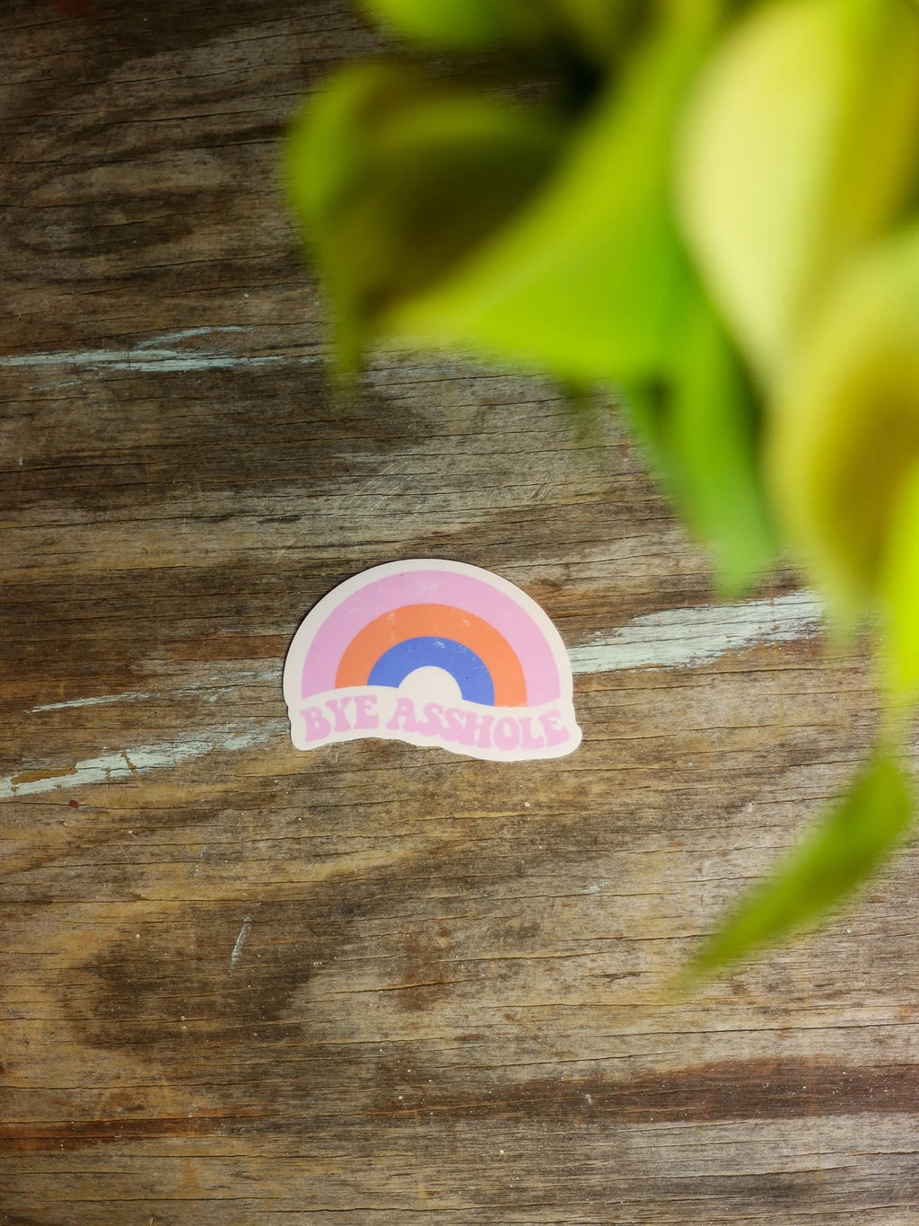 Bye Asshole Sticker