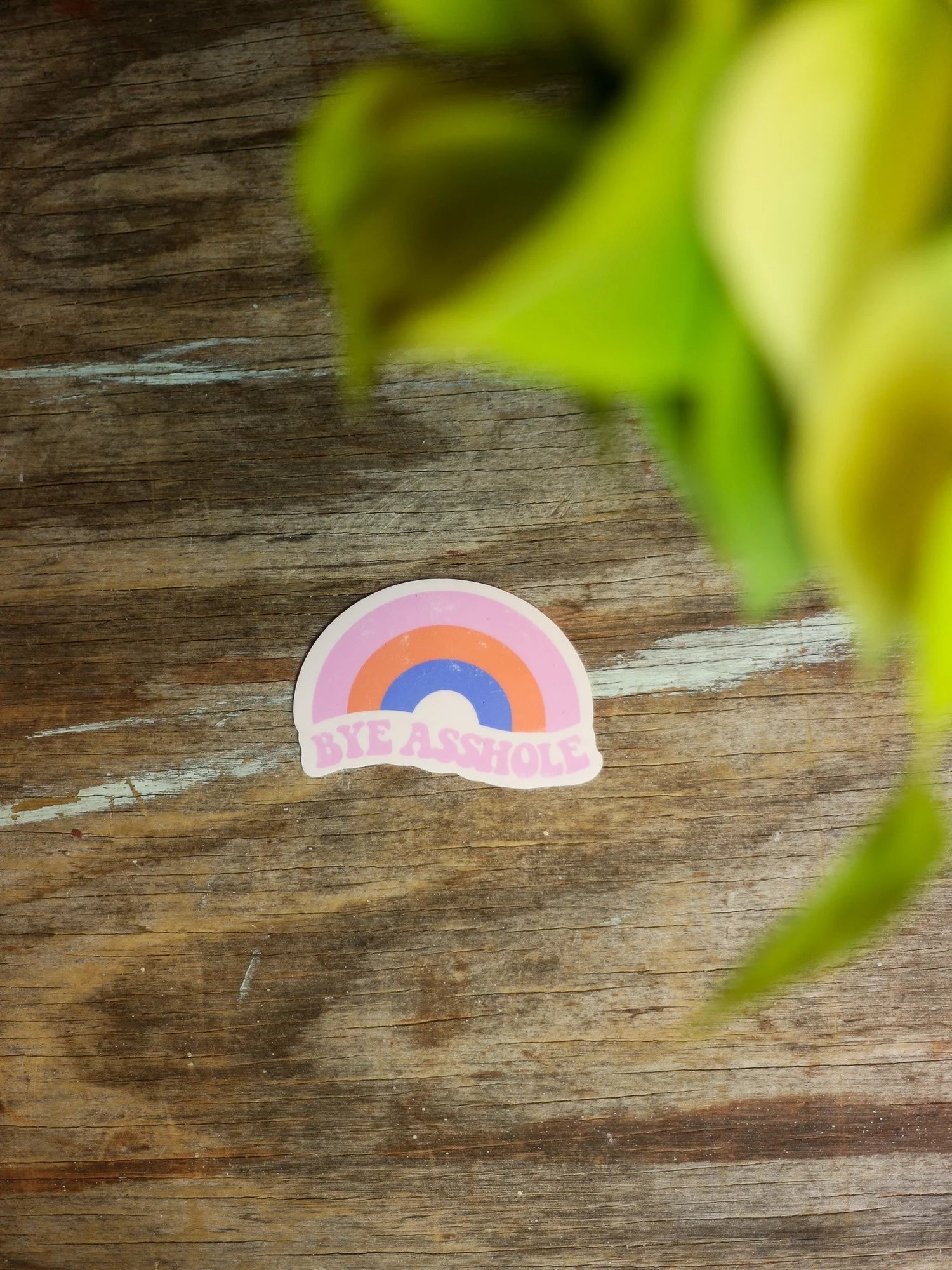 Bye Asshole Sticker