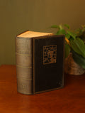 Fifty Amazing Secret Service Dramas 1937