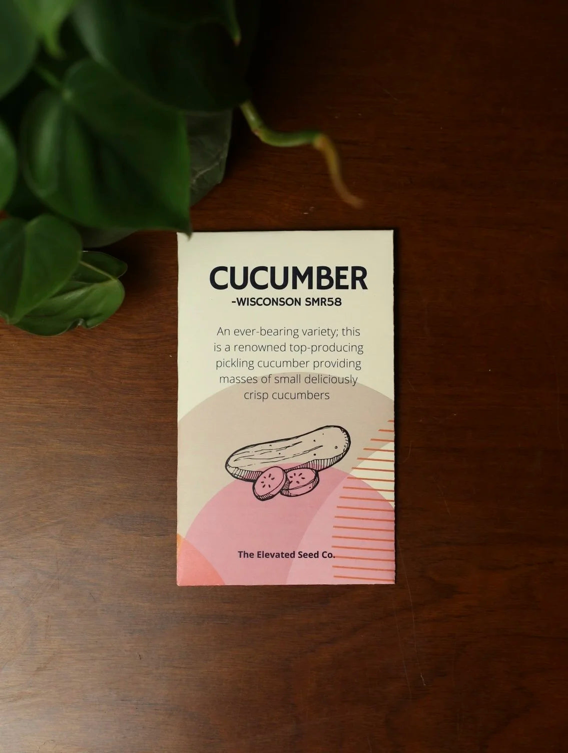 Cucumber Garden Seeds- Wisconsin SMR58