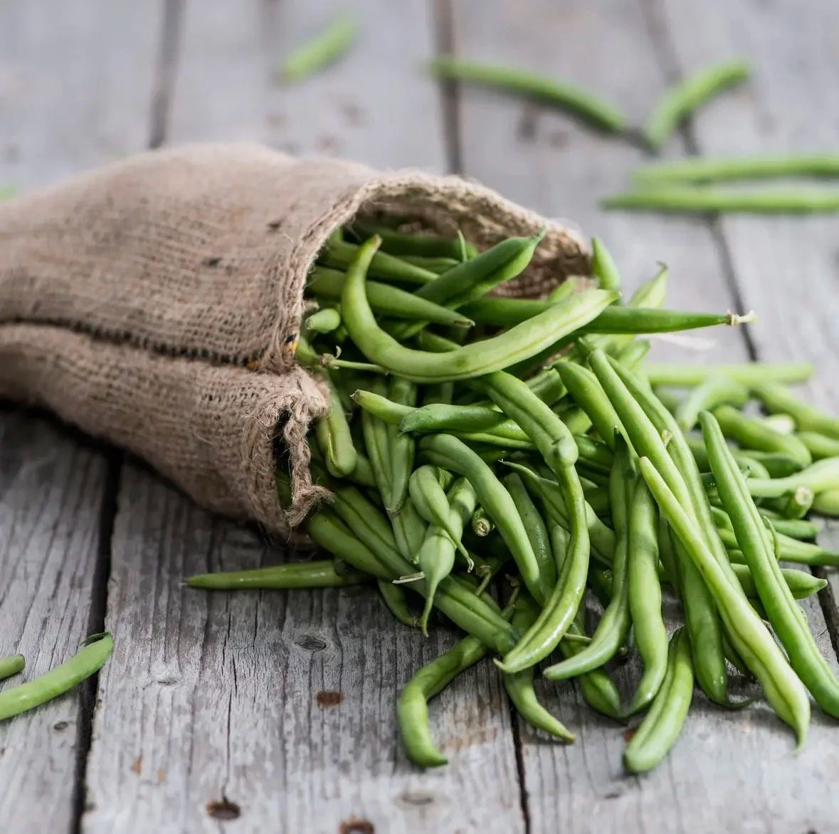 Green Bean Seeds